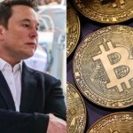 Elon Musk uses the ‘diamond hands’ emoji in a tweet in response to the recent decline in bitcoin.